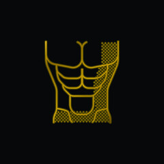 Abs gold plated metalic icon or logo vector
