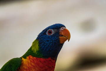 Vogelpark Walsrode