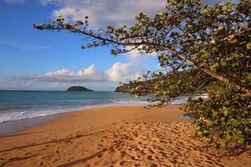 Beach in Guadeloupe