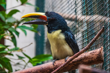 Vogelpark Walsrode © LegusPic