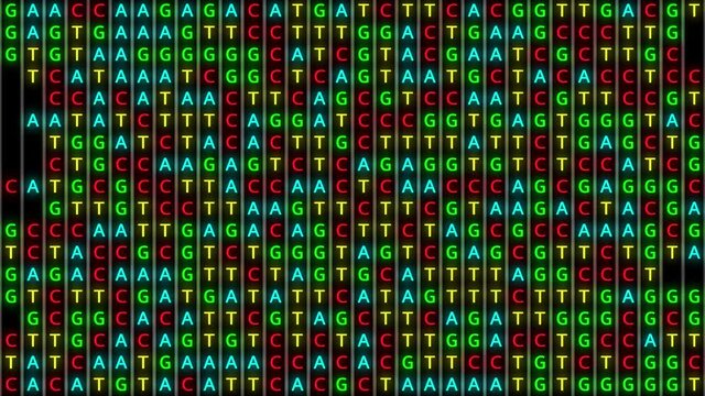 Loopable: DNA genetic matching and analysis abstract background with glowing color-coded DNA components C, G, A, T. Genomic data processing concept.