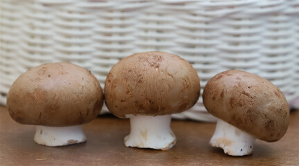 mushrooms