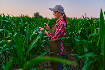 Naklejka na ściany i meble Happy smiling young female farmer agronomist touching corn leaves for analyzing maize crop