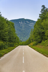 Fototapeta premium a straight road in the middle of a wooded area with a mountain in the background