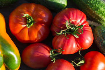 fresh organic vegetables tomatos, pepper, cucumber. top view. harvest