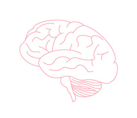 brain illustration isolated on white background. brain anatomy icon of science. neuroscience neurobiology research of human brain clipart.