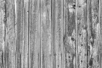 Texure of lining board wall