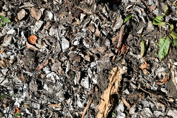 Compost pit with rotting vegetables in the garden