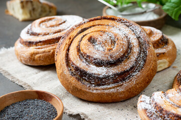 Sweet spiral bun with poppy seeds and powdered sugar large on a dark background. Delicious yeast pastries close-up. The concept of homemade high-calorie pastries