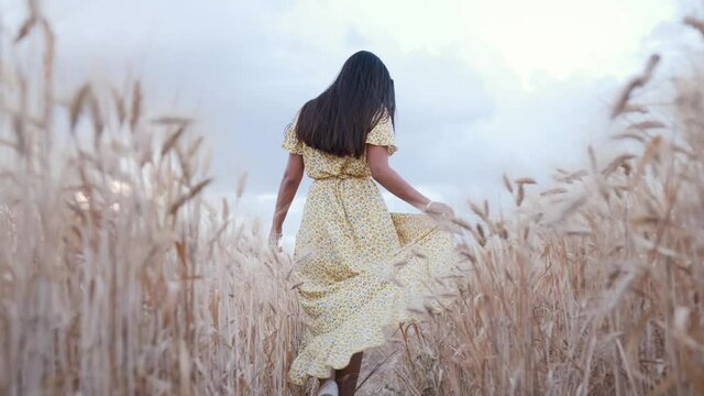 Woman in a dress walking through a wheat field. Nature and agriculture concept.
