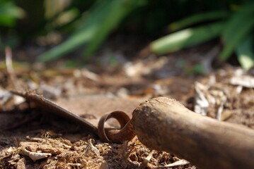 old garden shovel