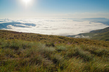 Morning dew on the grass. Sunrise over the Bermamyt Plateau. Nature and travel. Russia, Caucasus, Karachay-Cherkessia
