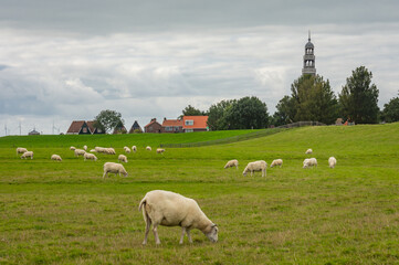 Fototapeta premium Landscape of dutch city Hindeloopen in Province Friesland