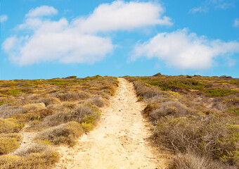 Natural reserve of Vendicari (Sicilia, Italy) - In the southern part of the island of Sicily, a suggestive wildlife oasis with the sandy beaches of Calamosche and San Lorenzo