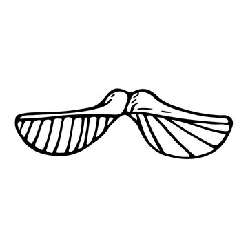 Doodle isolated image of a flying maple seed with wings.