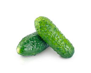 Two ground cucumbers isolated on white with shadow and reflection