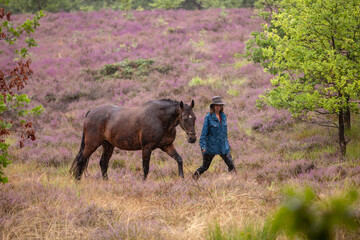 Reiterin wandert mit Pferd durch die Heide im Regen