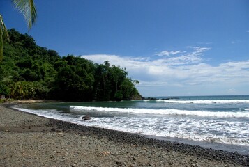 beach with palm trees and sea