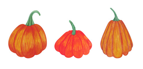 Set of pumpkins.Autumn set of elements on isolated white background. Watercolor illustration. Hand drawing. It is perfect for thanksgiving cards or posters, halloween