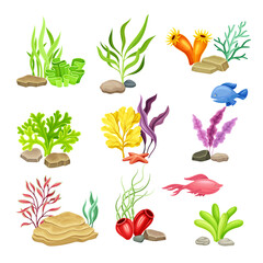 Sea Coral and Algae Growing on the Ocean Bottom Vector Composition Set