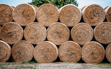 Straw bales stacked in a farm after the harvest. Agricultural concept