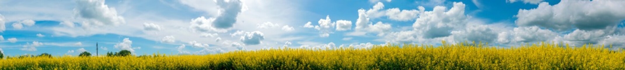Obraz premium Panorama of yellow rapeseed valley. The mountains and the beautiful spring sky in the background