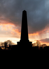 Phoenix Park sunset - Dublin, Ireland