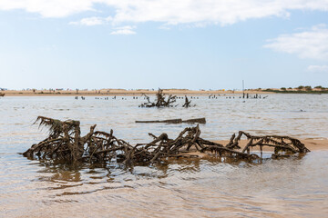 Fototapeta na wymiar Mariculture at Ria Formosa, Cacela Velha, Algarve