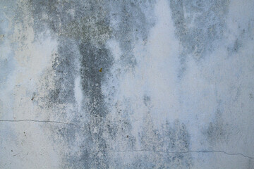 Fototapeta na wymiar Old wall with damp