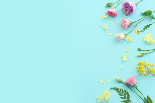 Top view image of pink, yellow and purple flowers composition over pastel blue background .Flat lay