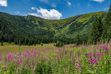 Fototapeta premium Góry