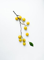 branch of yellow cherry in light background 