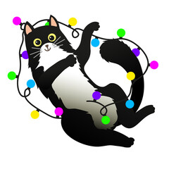 Funny and cute cat play with christmas lights