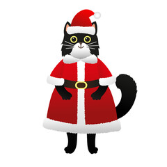 Funny and cute cat in Santa Claus costume for new year