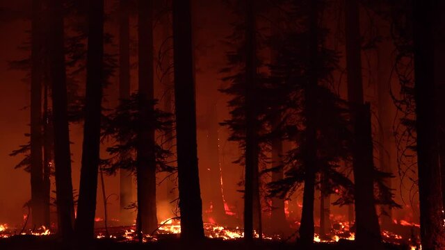 2021 - The Dixie Fire burns unchecked in a forest in Northern California at night.