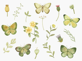 Watercolor set with butterflies and greenery. Hand drawn summer design elements for greeting cards, invitations, poster prints, logo and other.