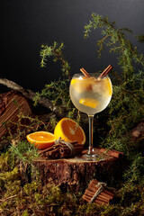 Gin and Tonic cocktail with orange and cinnamon.