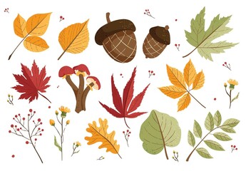 Autumn Fall Leaves Leaf Illustrations Autumnal Foliage Clipart - Powered by Adobe