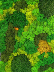 multicolored decorative preserved preserved moss as wall decor, eco-design concept, live vertical...