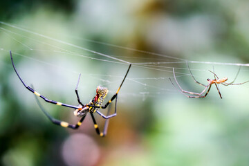 beautiful couple
