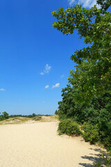 Letea sand dunes, Danube Delta, Romania, Europe