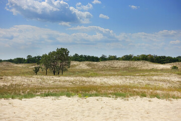 Summer landscape of Letea sand dunes, Danube Delta, Romania, Europe