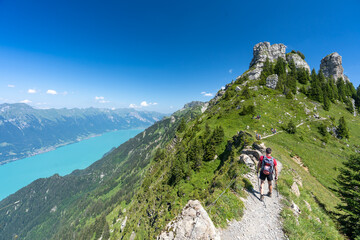 Fototapeta na wymiar un randonneur sur un sentier le long d'une crête au dessus du lac bleu d'Interlaken