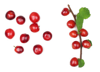 Felted cherry with leaves isolated on a white background, flat lay