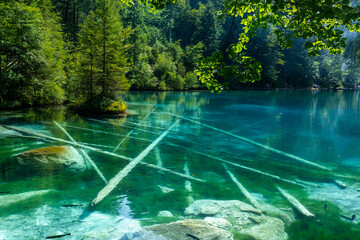 un lac aux eaux bleues et translucides avec des troncs arbres plongés - 454414154