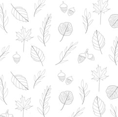 Autumn drawing showing outlines of leaves and acorns. Fall, seasonal, background. Black and white.