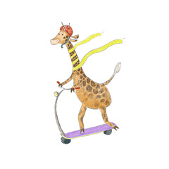 Giraffe On A Scooter
