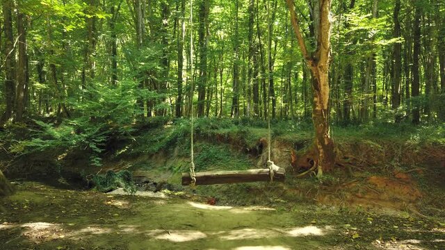 Empty swing in Igneada Longoz floodplain forests in summer. Longoz forests are rare ecosystems. Igneada Longoz Forests are a National Park in Turkey