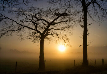 Sunset seen through some trees near Heeten