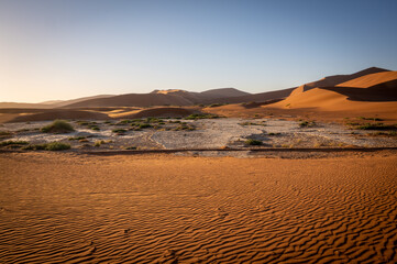 Dead acacia trees and red dunes in Deadvlei. Sossusvlei. Namib-Naukluft National Park, Namibia